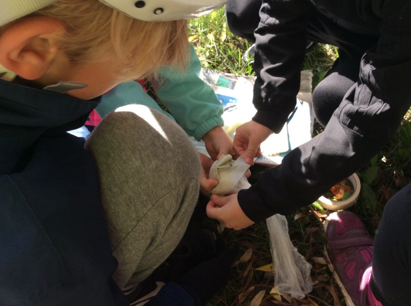 3BCEC22A-4F70-4AD3-A38B-F28DC3EE7FC5